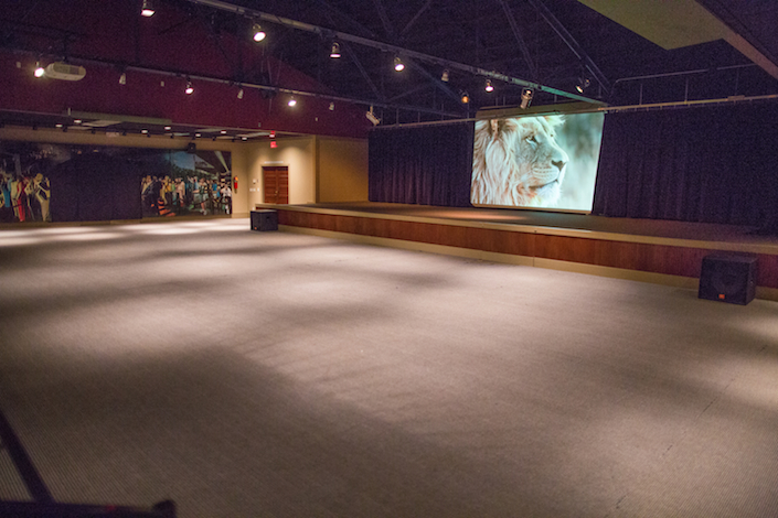 View of The Mane Room screen